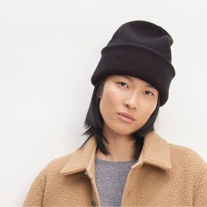 Everlane The Good Merino Wool Beanie